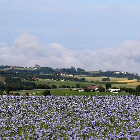 Ferienhof Neundlinger Niederwaldkirchen Eksteriør bilde