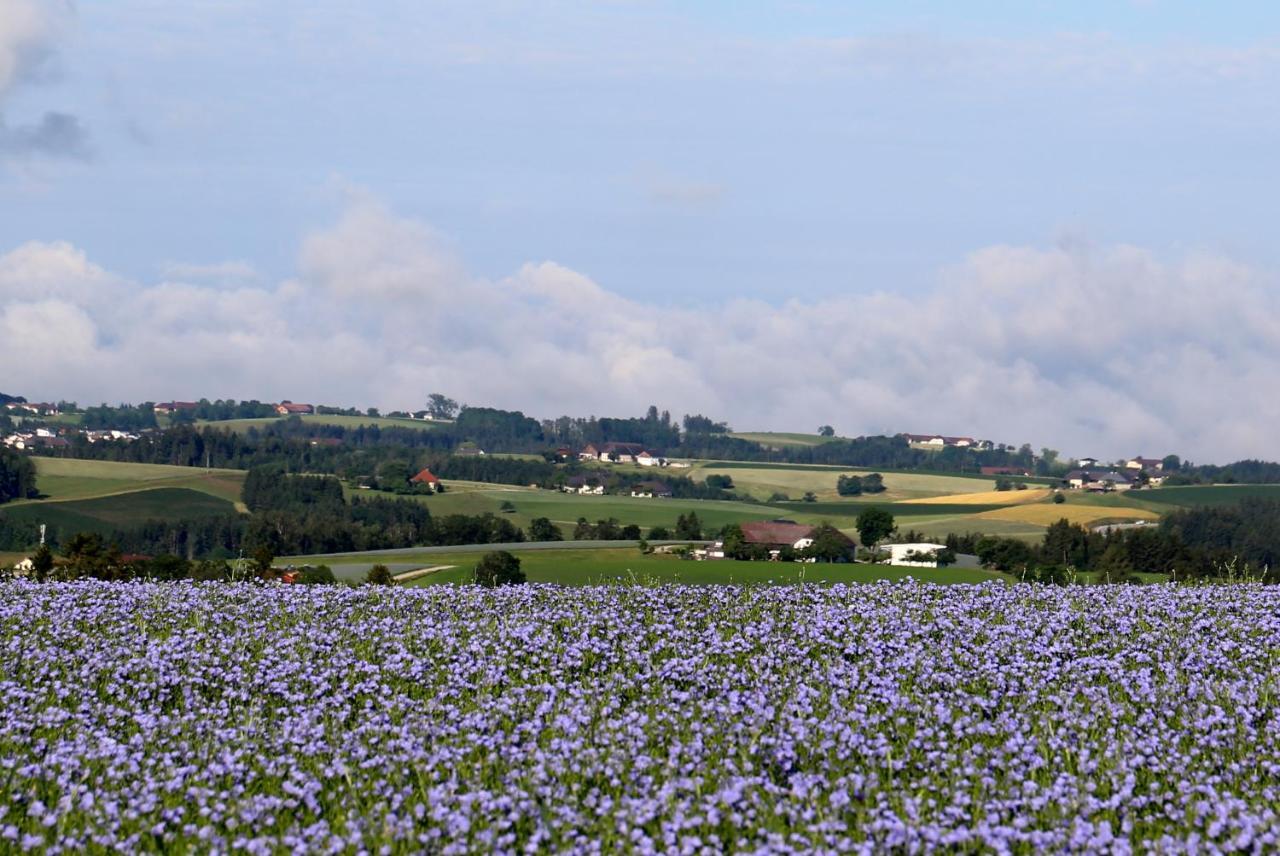 Ferienhof Neundlinger Niederwaldkirchen Eksteriør bilde